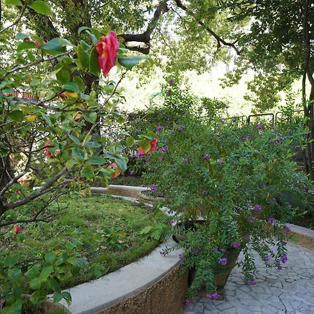 Апартаменты La Casa Dell'Albero Специя Экстерьер фото
